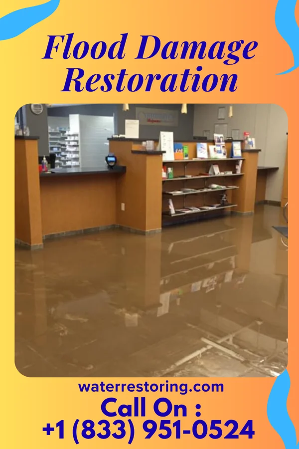Flood Damage Restoration in Mount Eagle, PA
