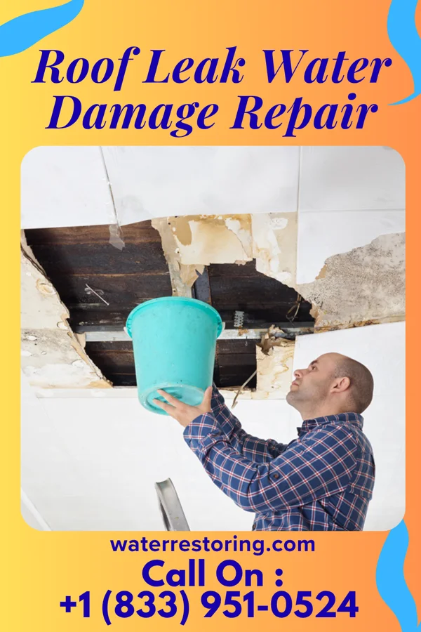 Roof Leak Water Damage Repair in Mount Eagle, PA