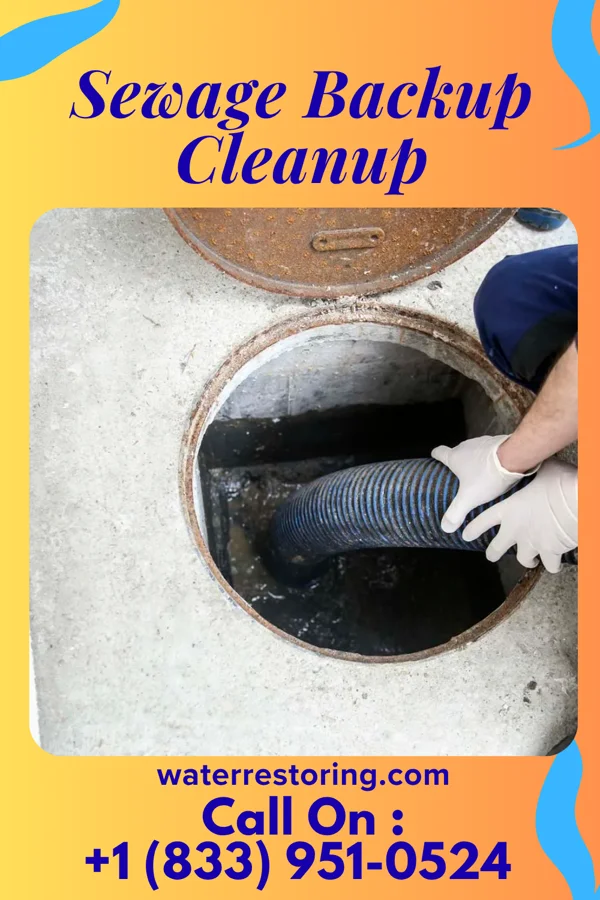 Sewage Backup Cleanup in Mount Eagle, PA